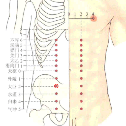 大巨穴