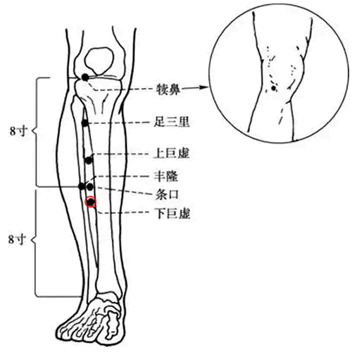 下巨虚穴
