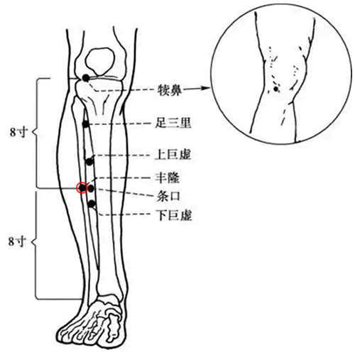 丰隆穴