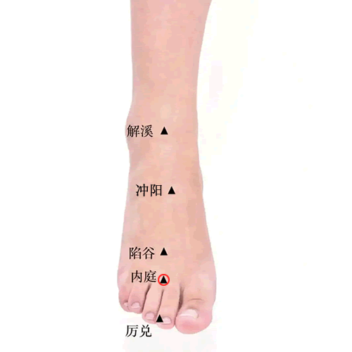 内庭穴