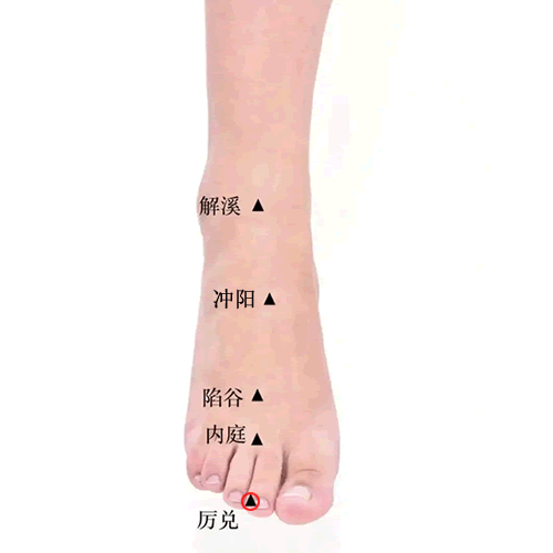 厉兑穴