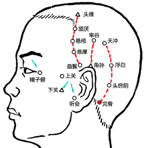 完骨穴