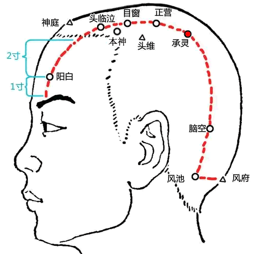 承灵穴