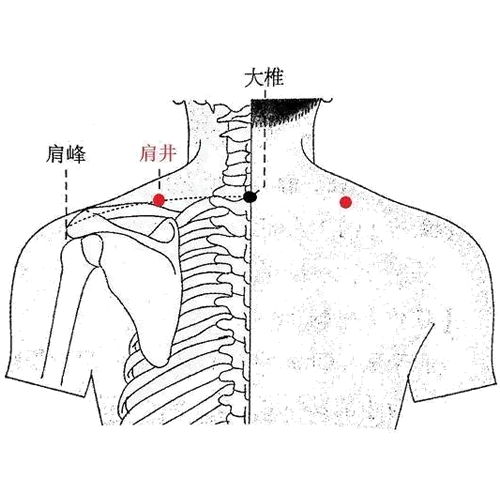 肩井穴