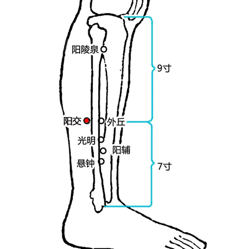 阳交穴