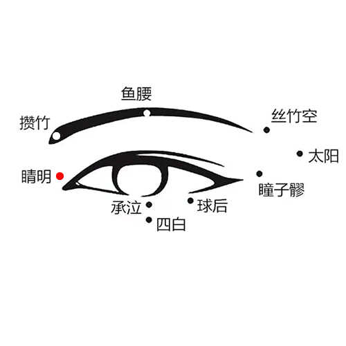 睛明穴