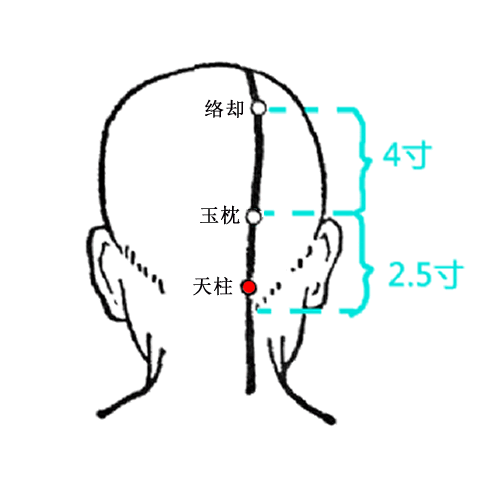 天柱穴