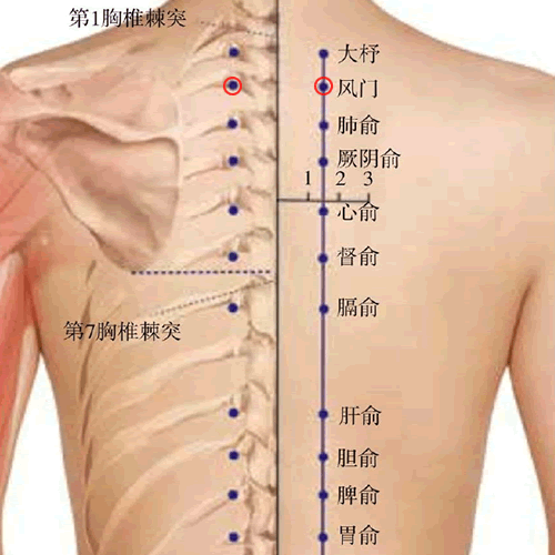 风门穴