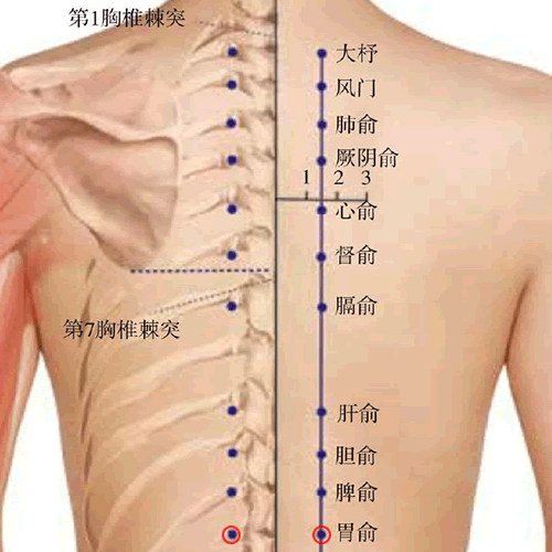 胃俞穴