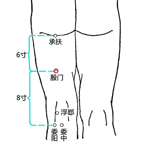 殷门穴