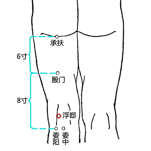 浮郄穴