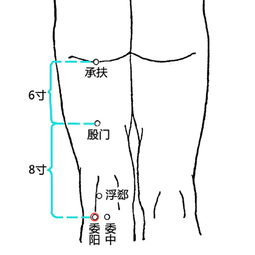 委阳穴