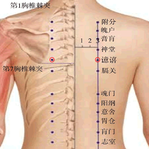 譩嘻穴