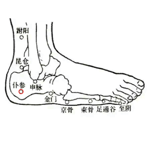 仆参穴