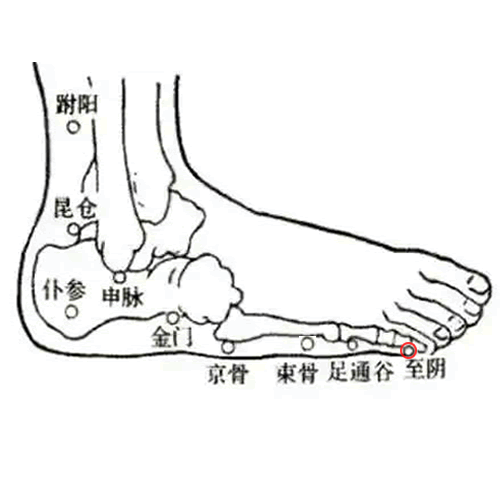 至阴穴