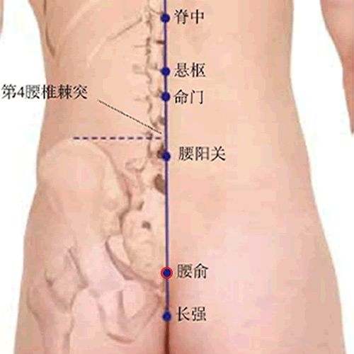 腰俞穴