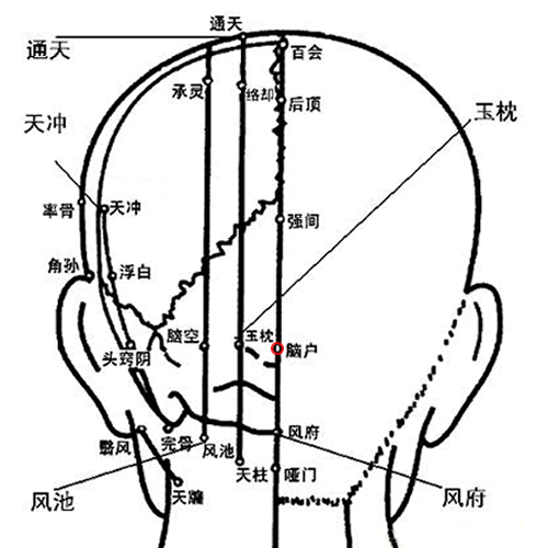 脑户穴