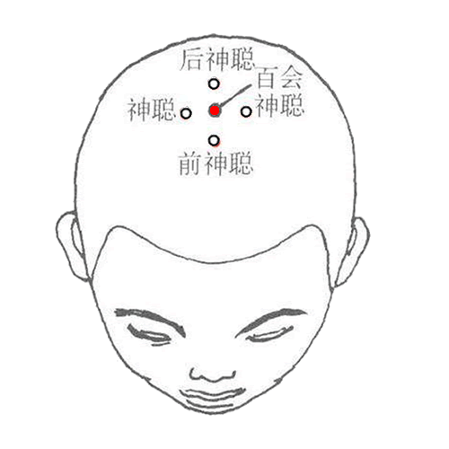 百会穴