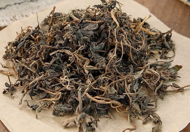 马齿苋