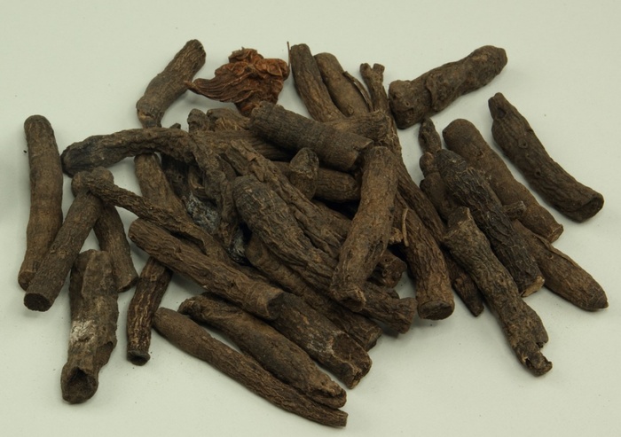 仙茅