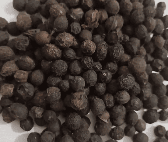 荜澄茄