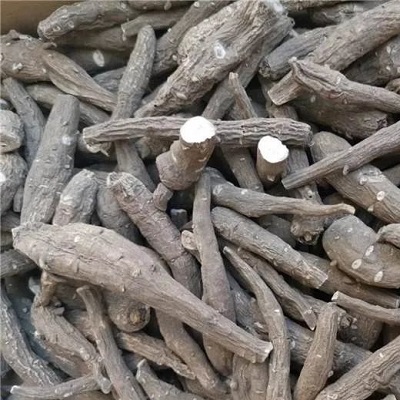 雪上一枝蒿