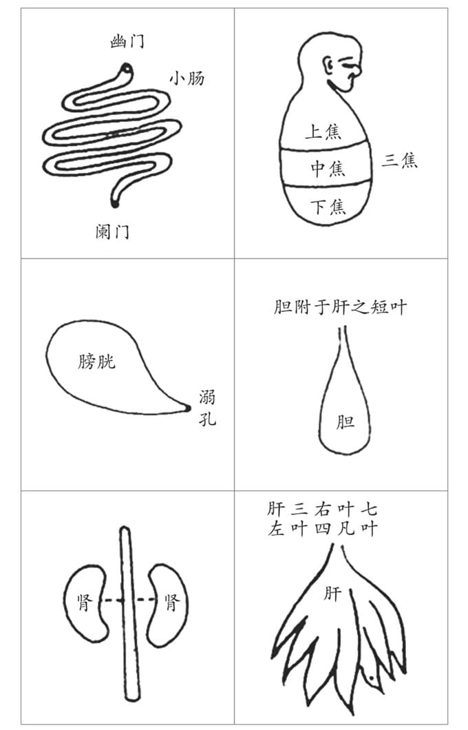 古人脏腑图2