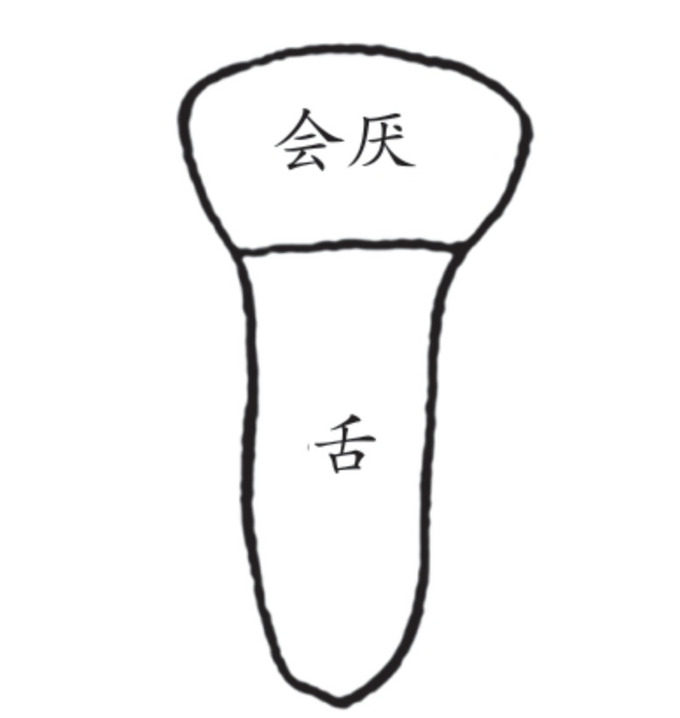 会厌图