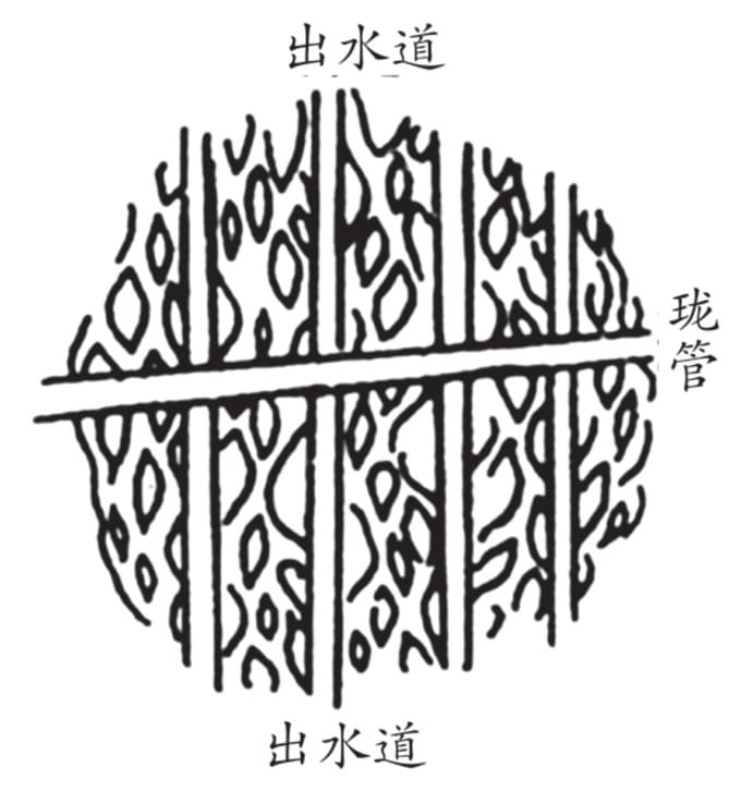 珑管、出水道图
